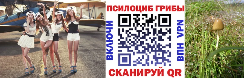 Купить где  Старый Крым  Галлюциногенные грибы прущие грибы 